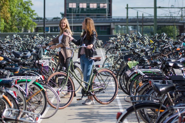 Alla Guida del Futuro: Promuovere la Mobilità Sostenibile