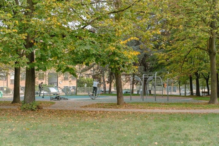 Campagna autunnale di Norwell